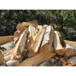 Перевага березових дров при опаленні